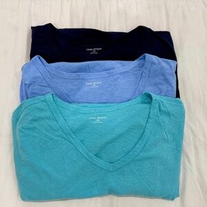 Lane Bryant V-Neck SS T-shirt